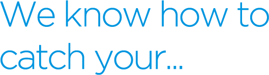 We know how to catch your...